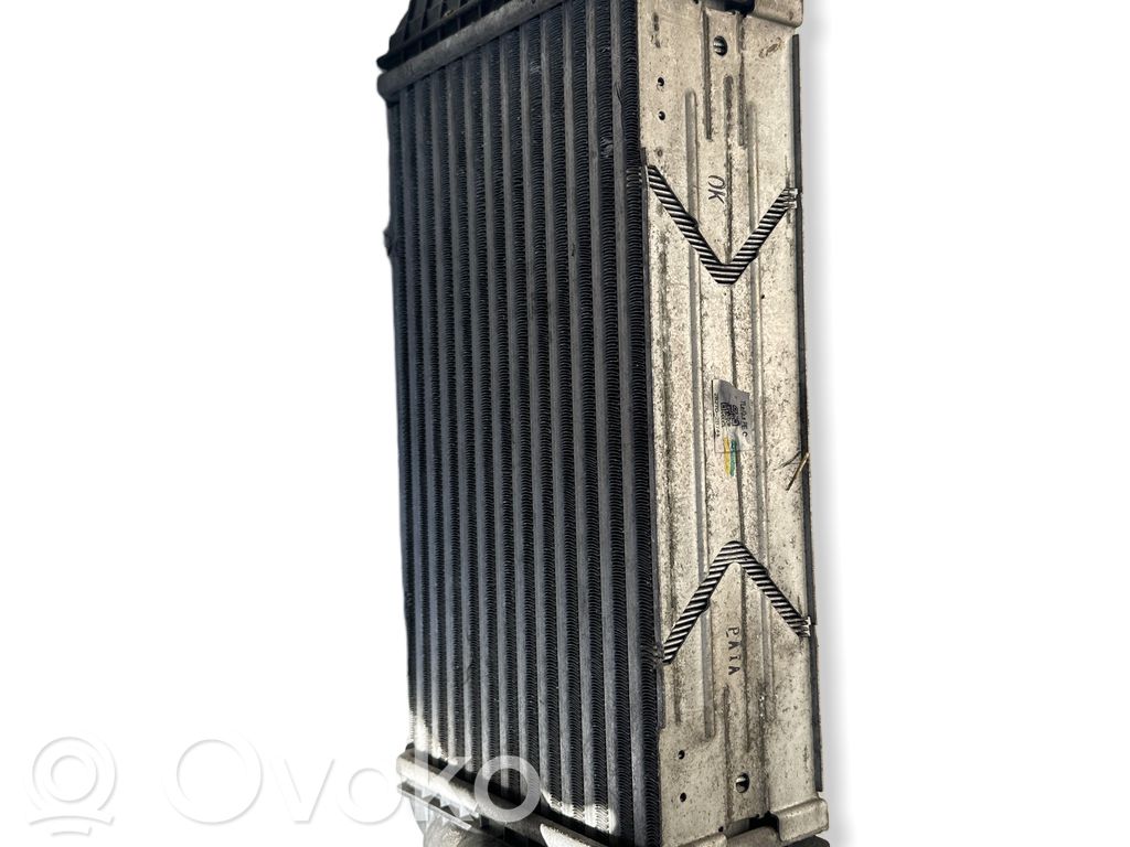 Chłodnica powietrza doładowującego / Intercooler   282702B743