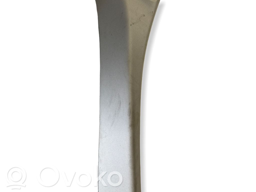 BMW 5 G30 G31 G38 Pilar (A) 