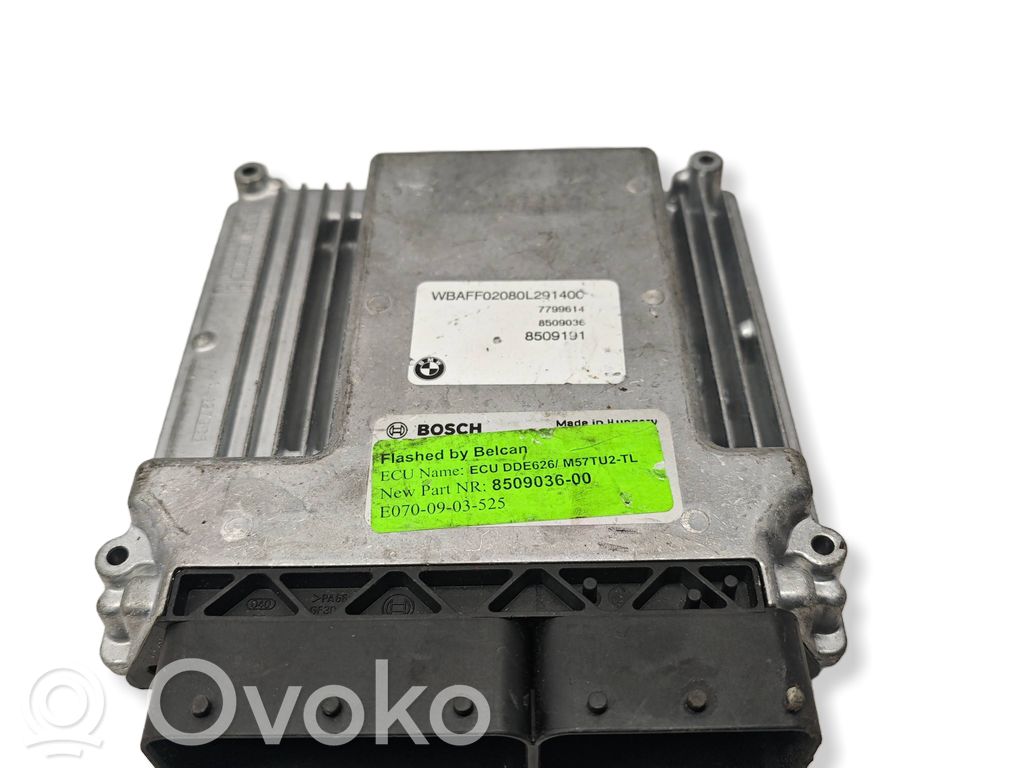 Engine control unit/module   8509036,7799614,8509191