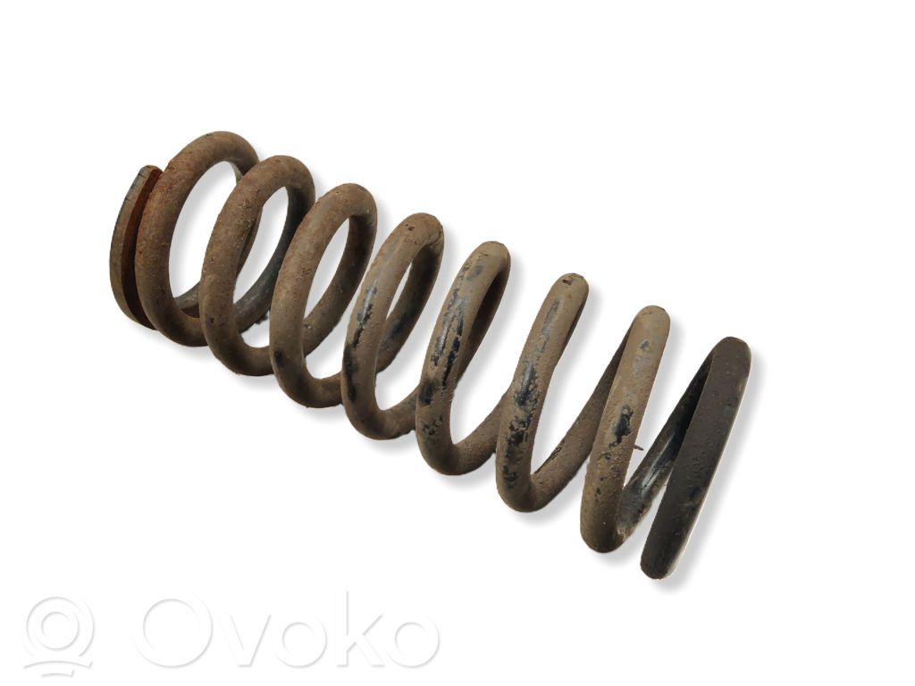 Front coil spring