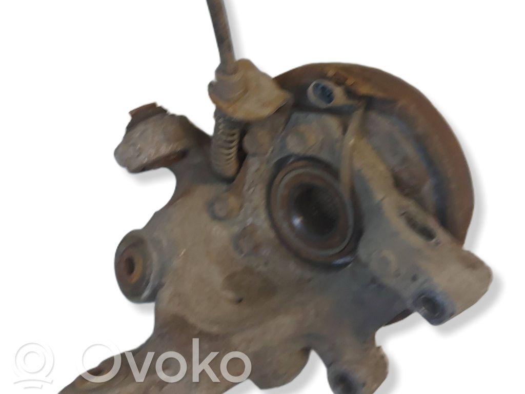 Galinė stebulė   NOCODE