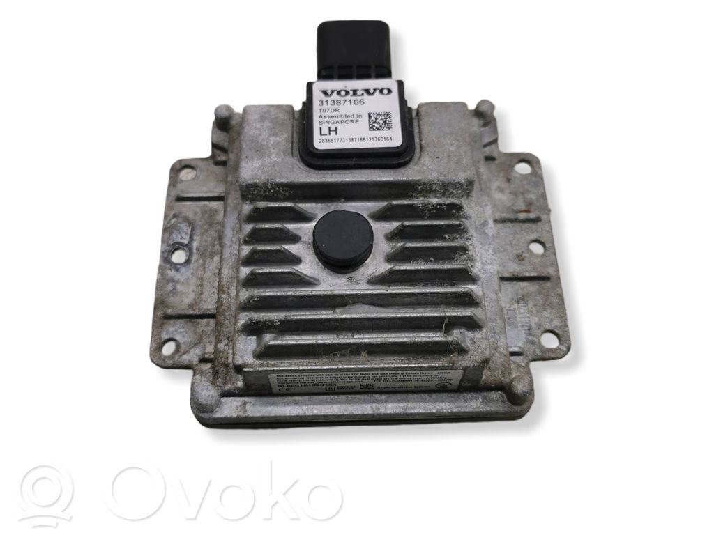 Blind spot module   31387166