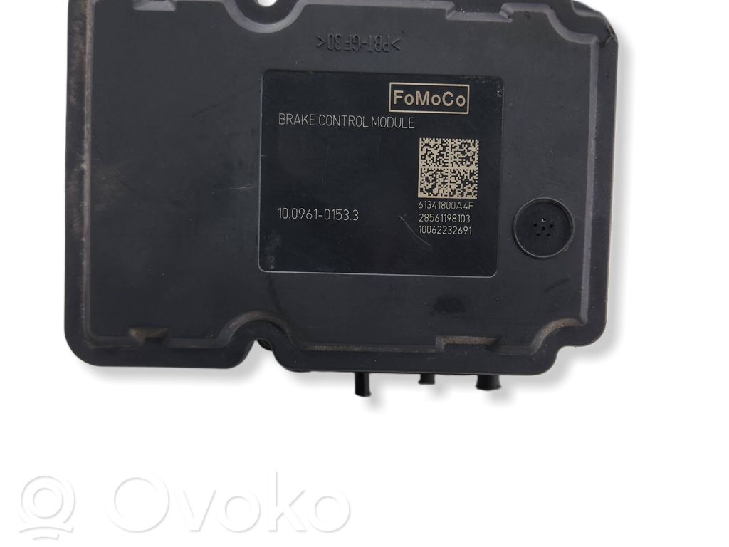 ABS Pump   10062232691