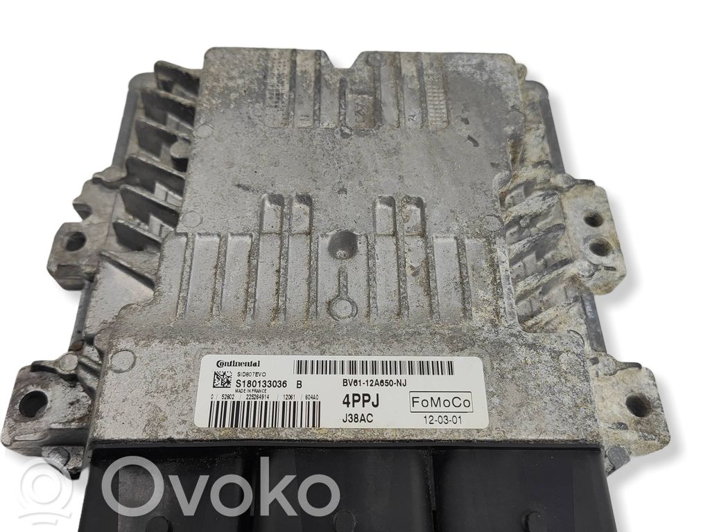Ford Focus Engine control unit/module 