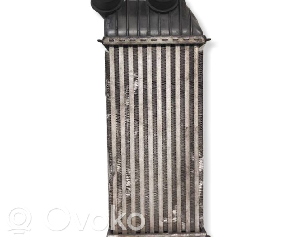 Peugeot Expert Intercooler radiator 
