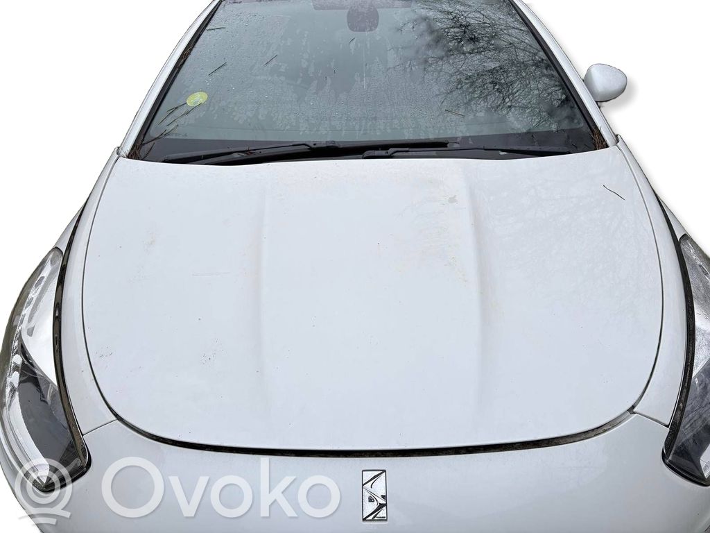 Engine bonnet/hood
