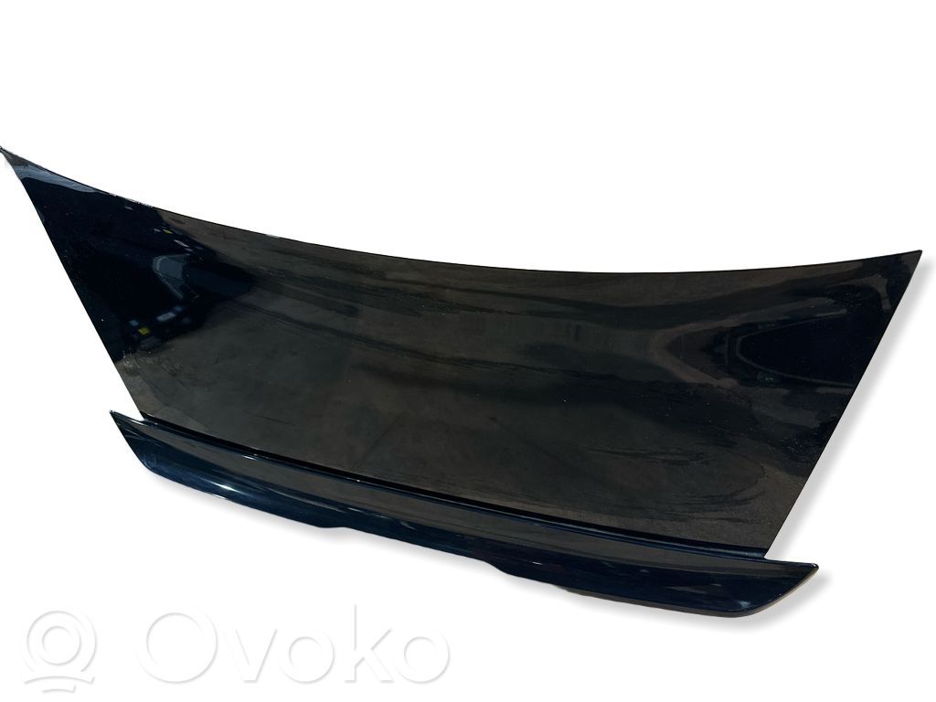 Tailgate/trunk/boot lid