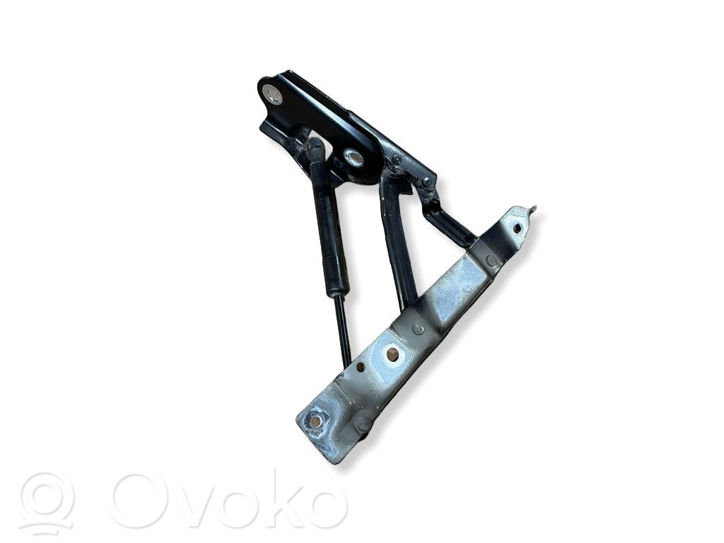 Dodge Challenger Tailgate/trunk/boot hinge 