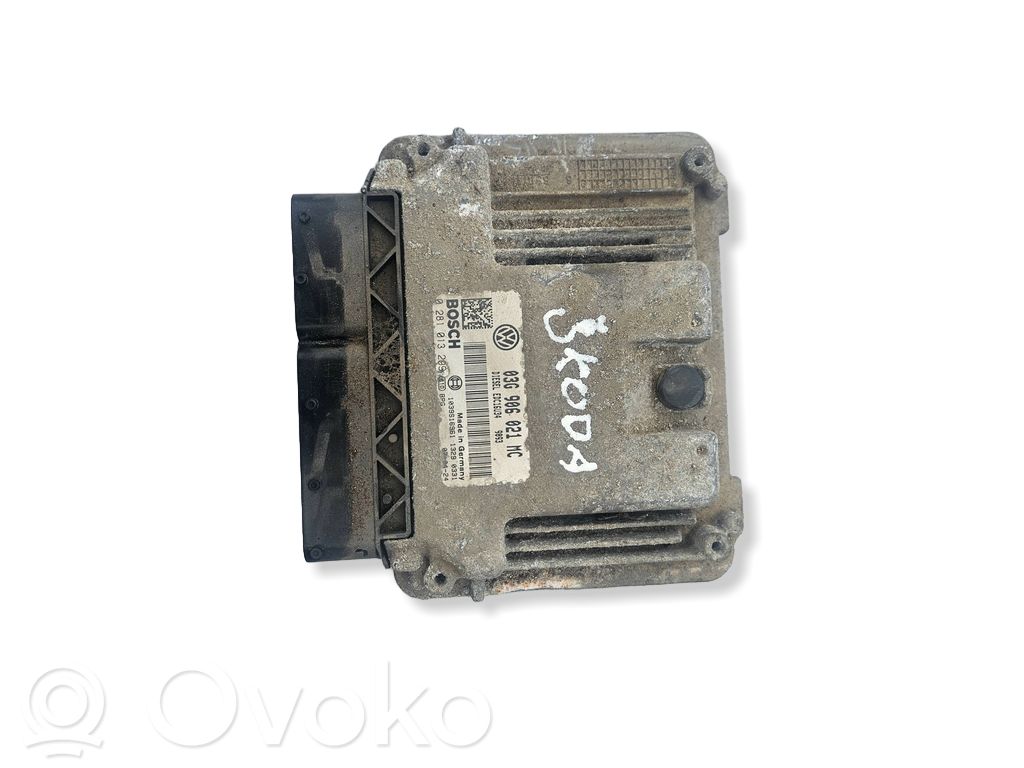 Skoda Octavia Mk2 (1Z) Engine control unit/module 