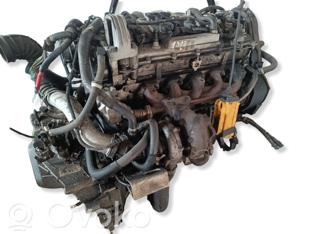 Variklis   D5244T,6901064,112570