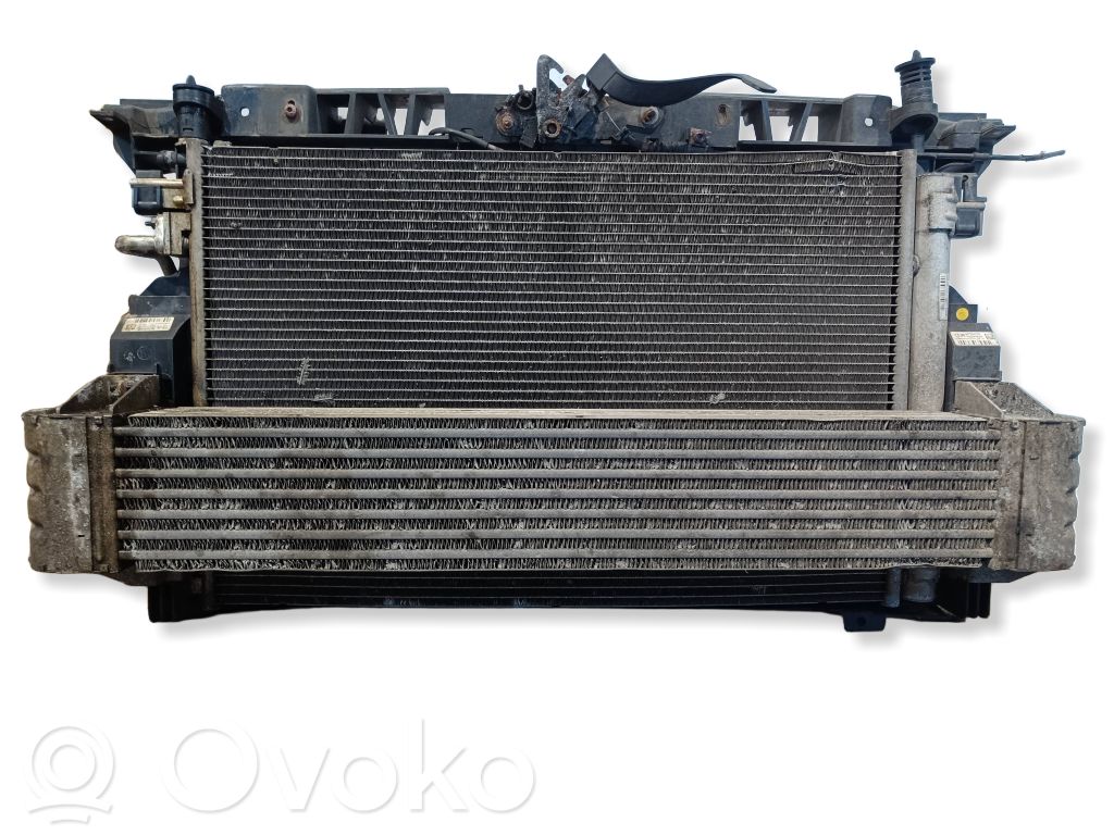 Citroen DS4 Radiator support slam panel 