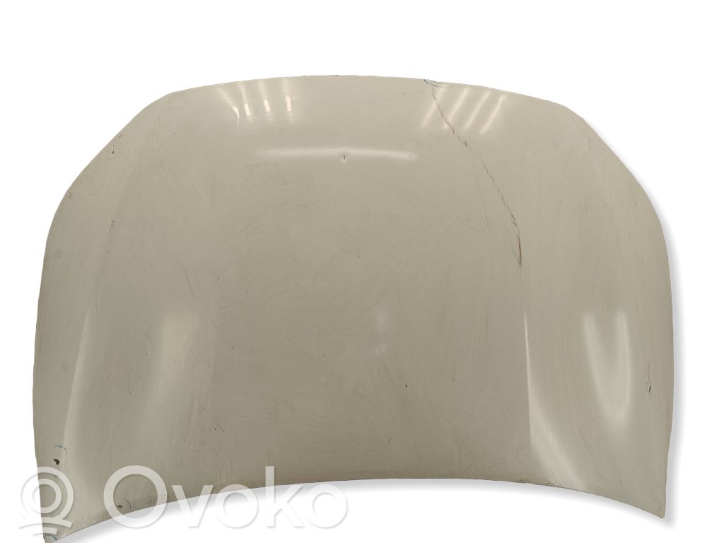 Engine bonnet/hood