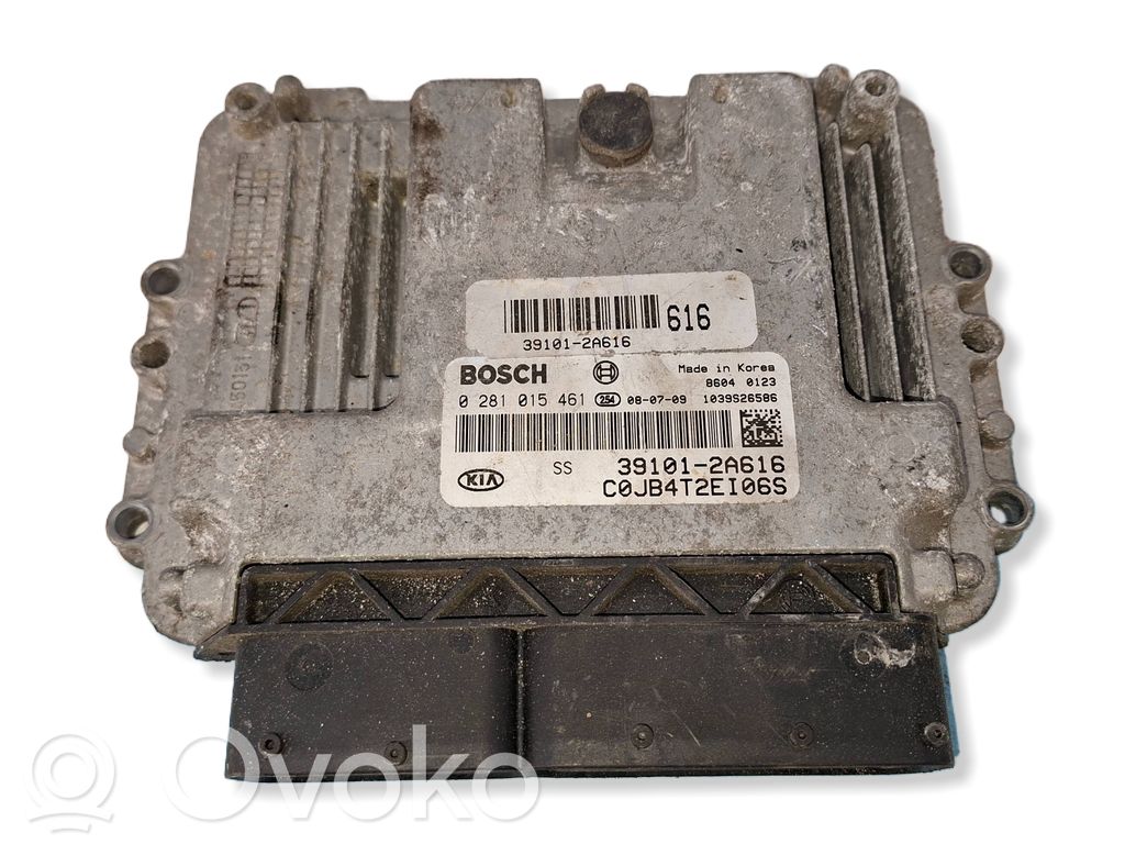 Engine control unit/module   391012A616