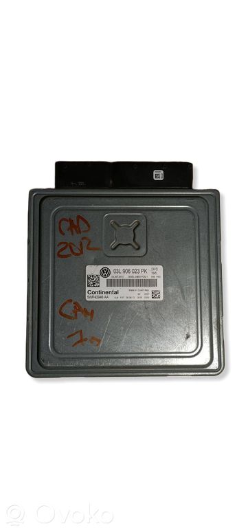 Volkswagen Caddy Engine control unit/module 