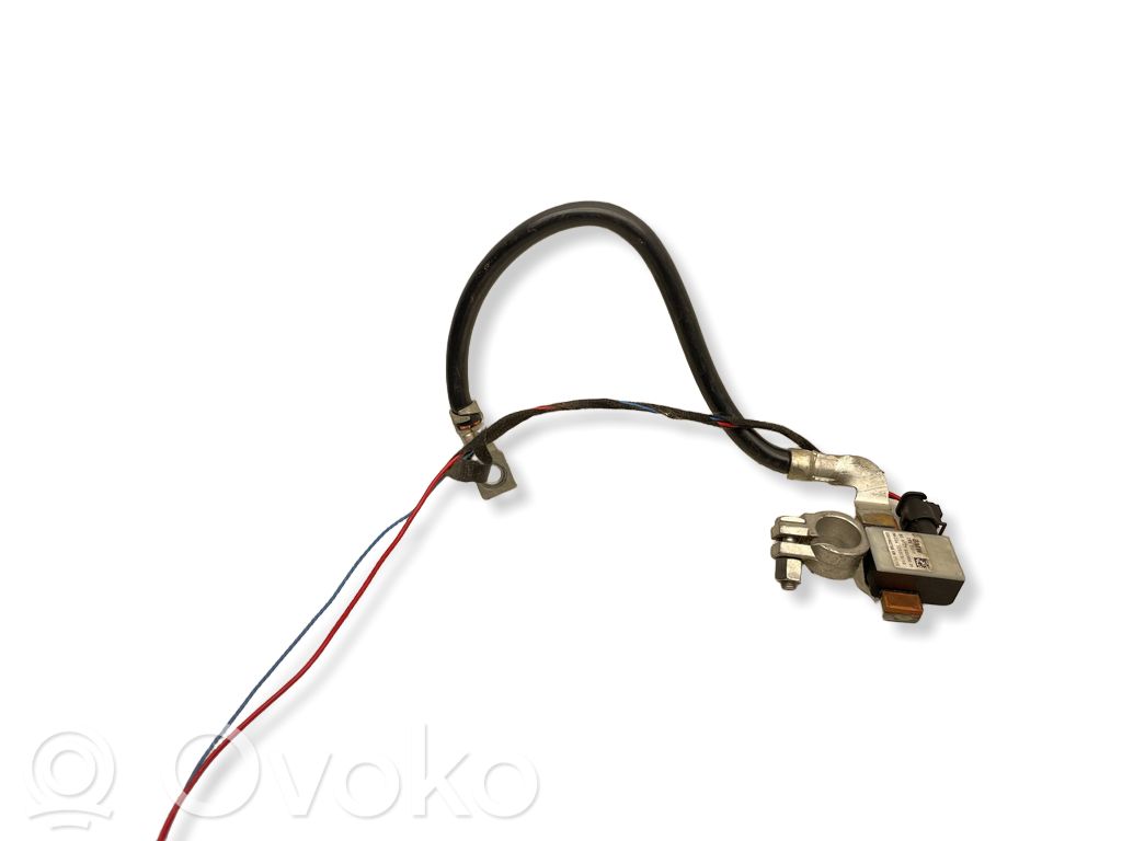 BMW 3 F30 F35 F31 Negative earth cable (battery) 