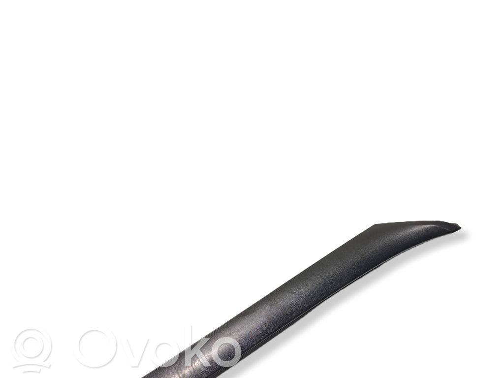Windshield trim   G06011V03683