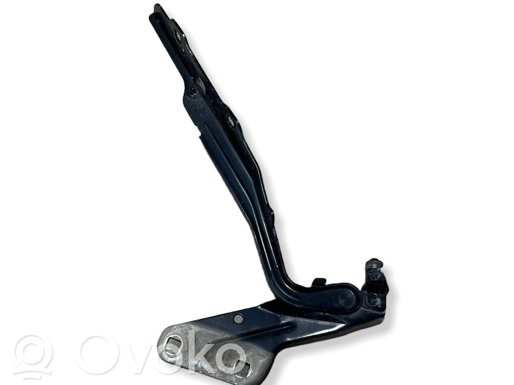 Dodge PickUp RAM SRT-10 Engine bonnet/hood hinges 