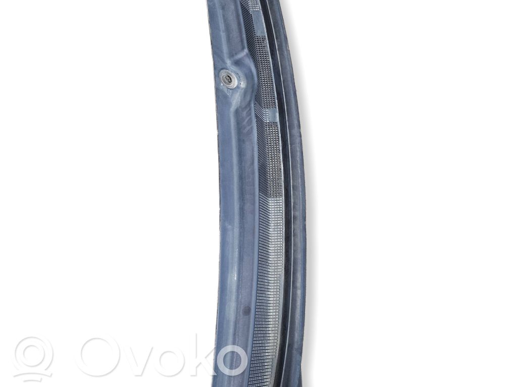 Chrysler Pacifica Wiper trim 