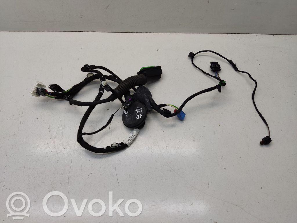 Audi Q7 4M Cableado de puerta delantera 