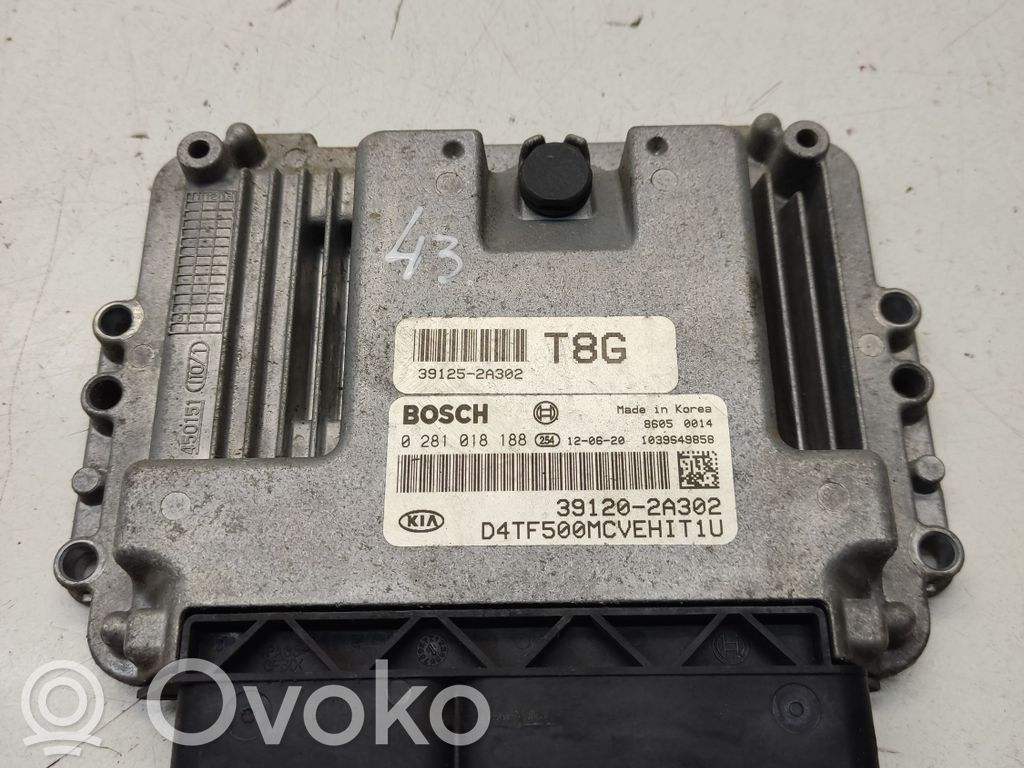 Engine control unit/module   0281018188,391202A302