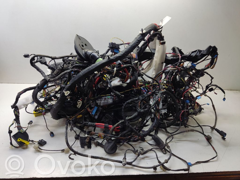 Mazo de cables   9350314,79406321