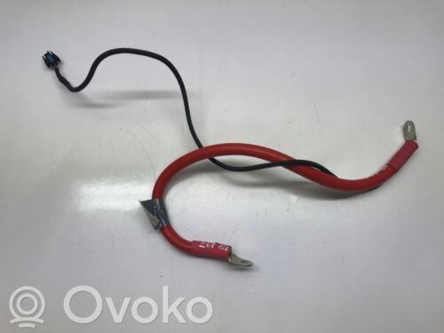 BMW 5 E60 E61 Pliusinis laidas (akumuliatoriaus) 