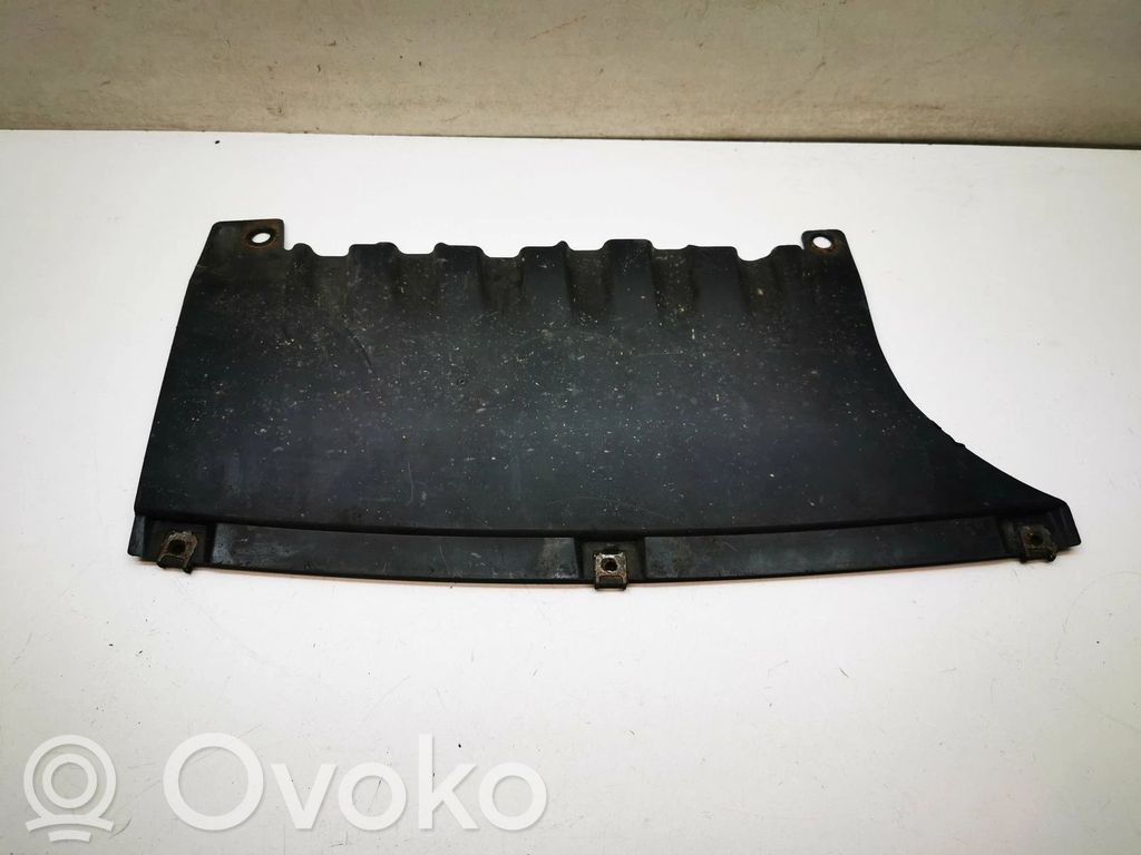 BMW 1 E82 E88 Galinio bamperio dugno apsauga 