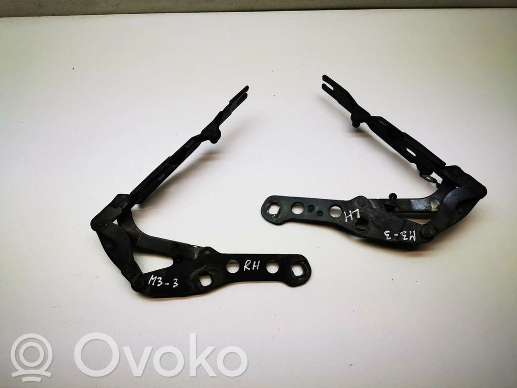 BMW M3 Engine bonnet/hood hinges 