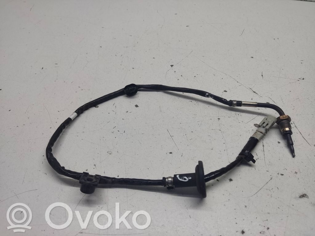 Hyundai i20 (BC3 BI3) Exhaust gas temperature sensor 