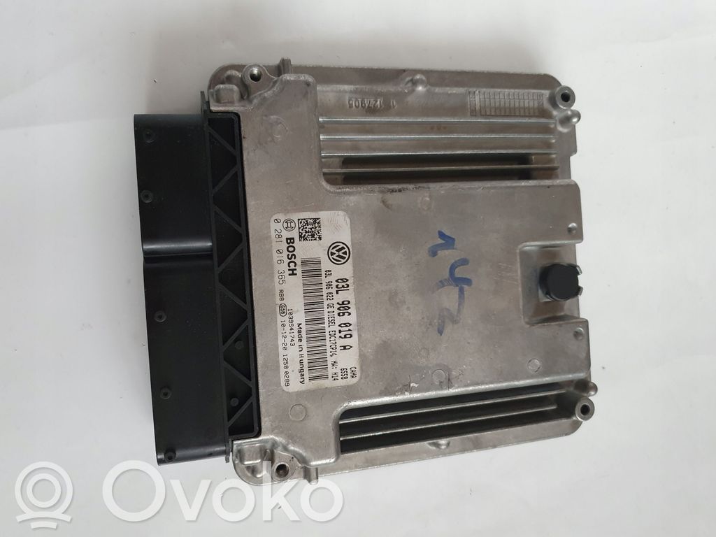 Seat Exeo (3R) Engine control unit/module 