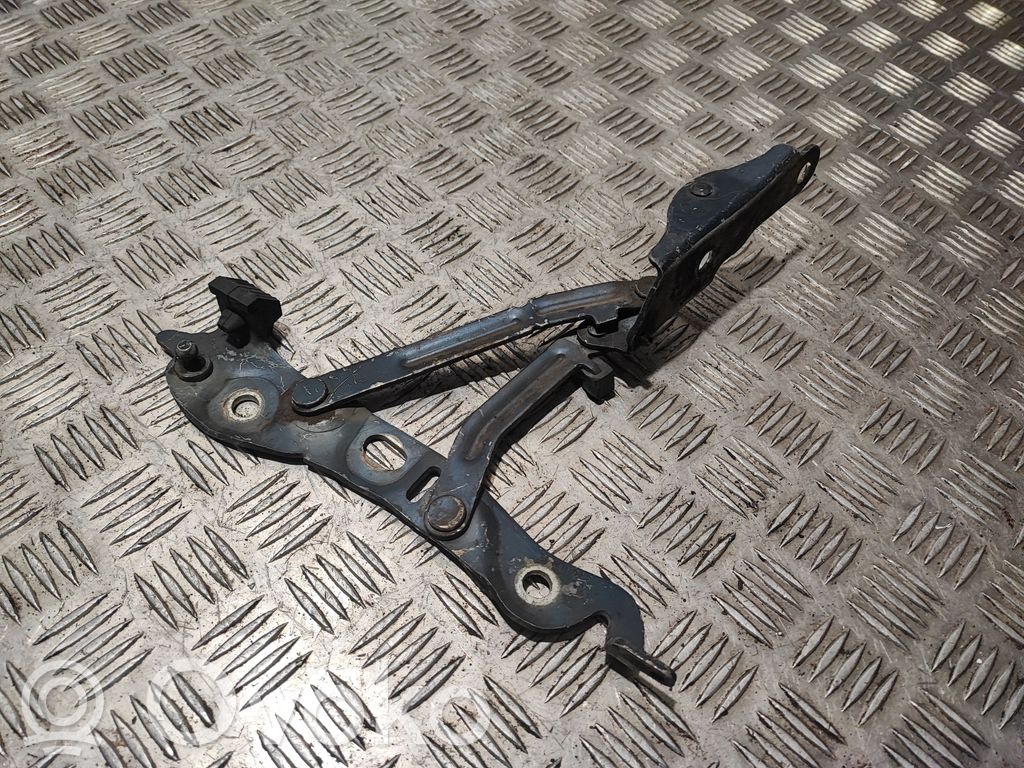 Tailgate/trunk/boot hinge   9159704