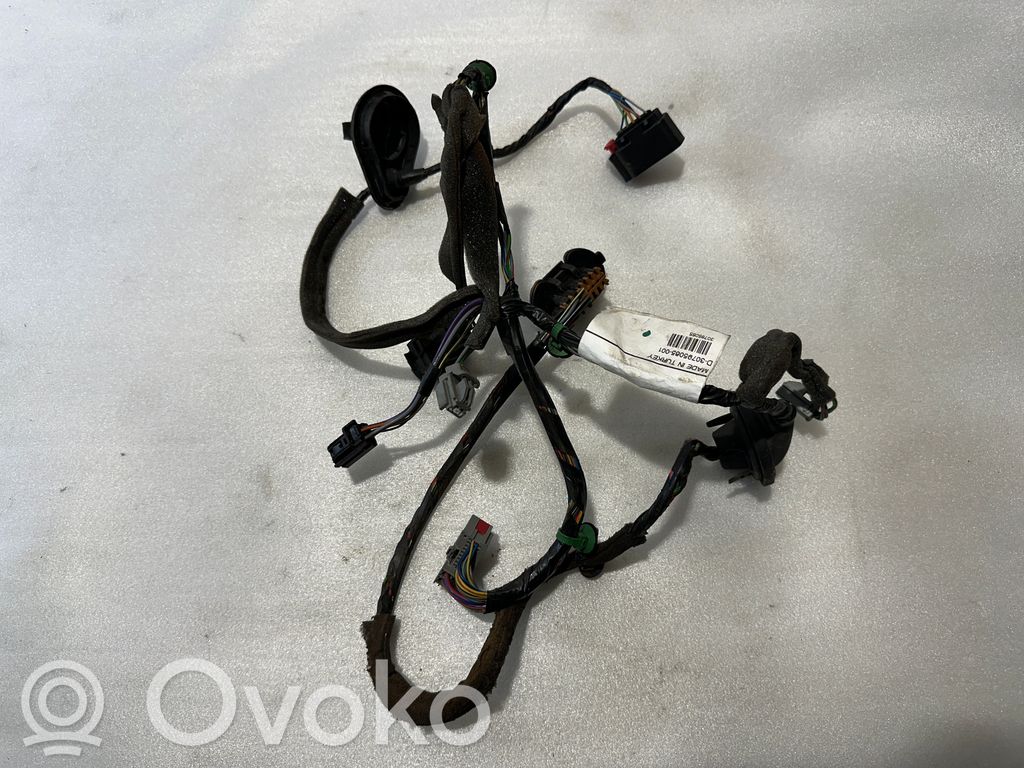 Volvo S80 Cableado de puerta trasera 