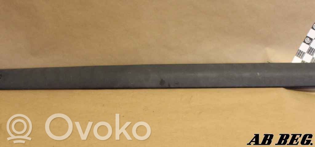 Renault Clio II Front door trim (molding) 