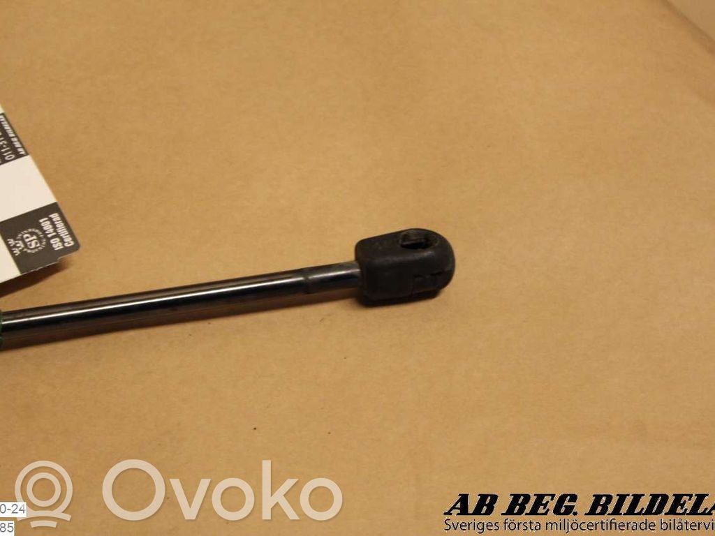 Tailgate strut   3M51A406A10AB