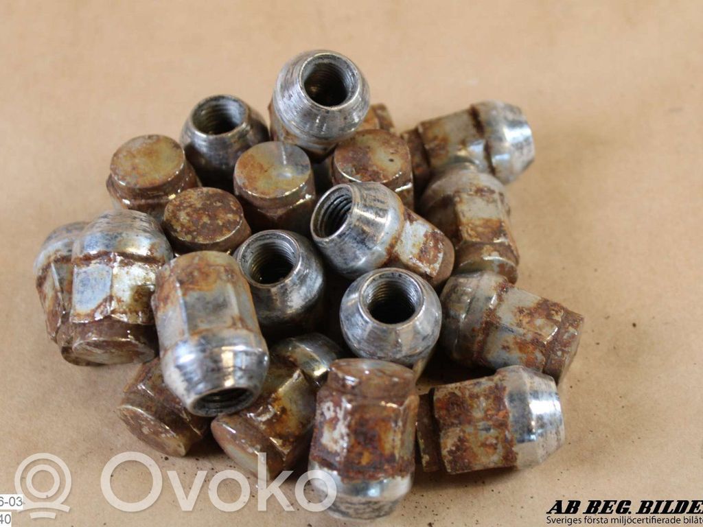 Nuts/bolts