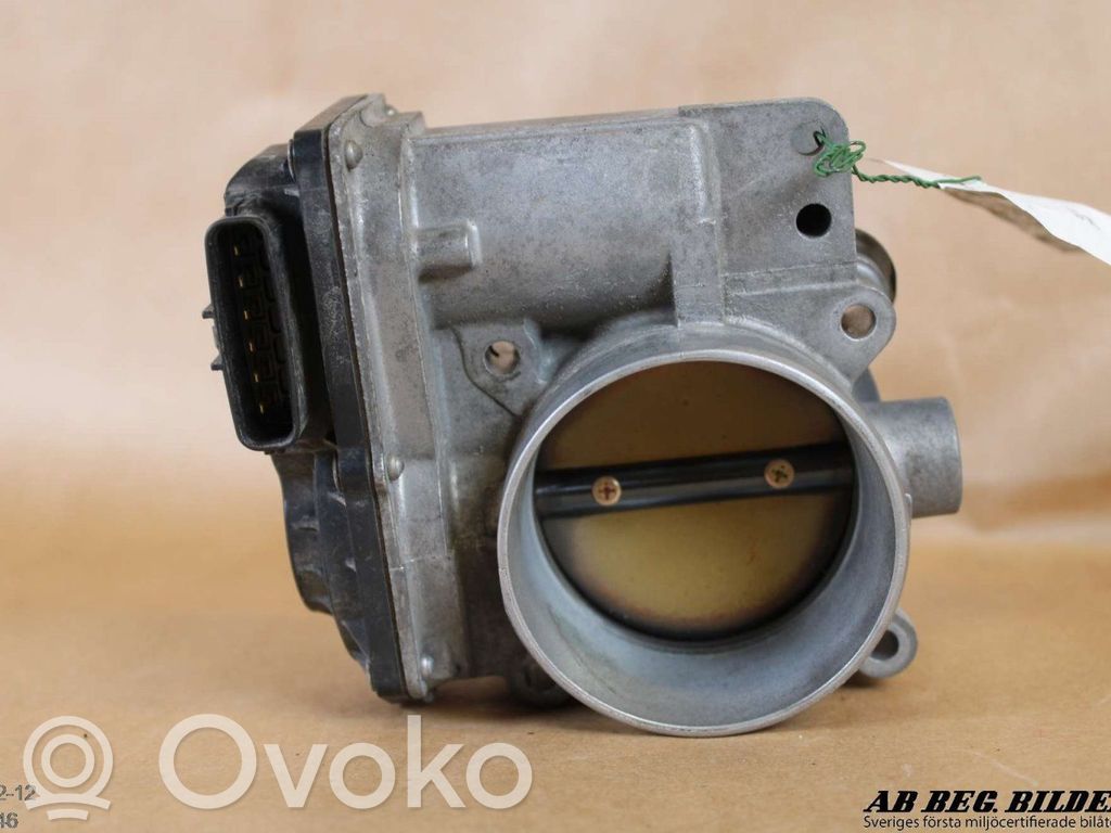 Throttle valve   8677694