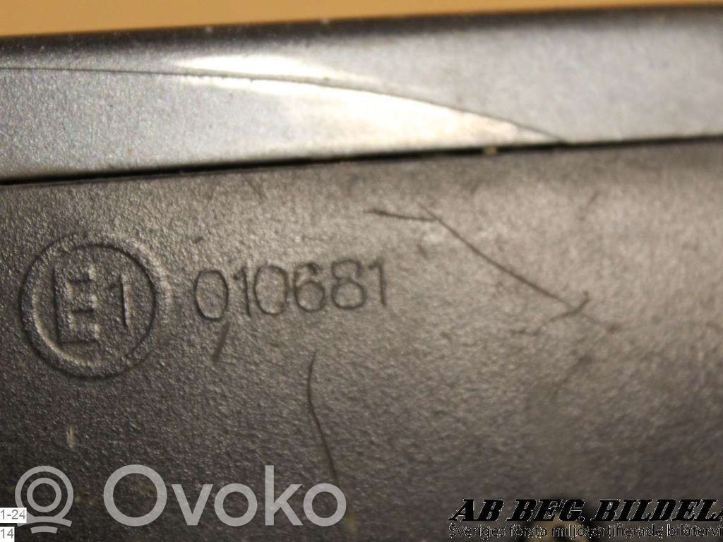 Audi A4 S4 B6 8E 8H Elektryczne lusterko boczne drzwi przednich 