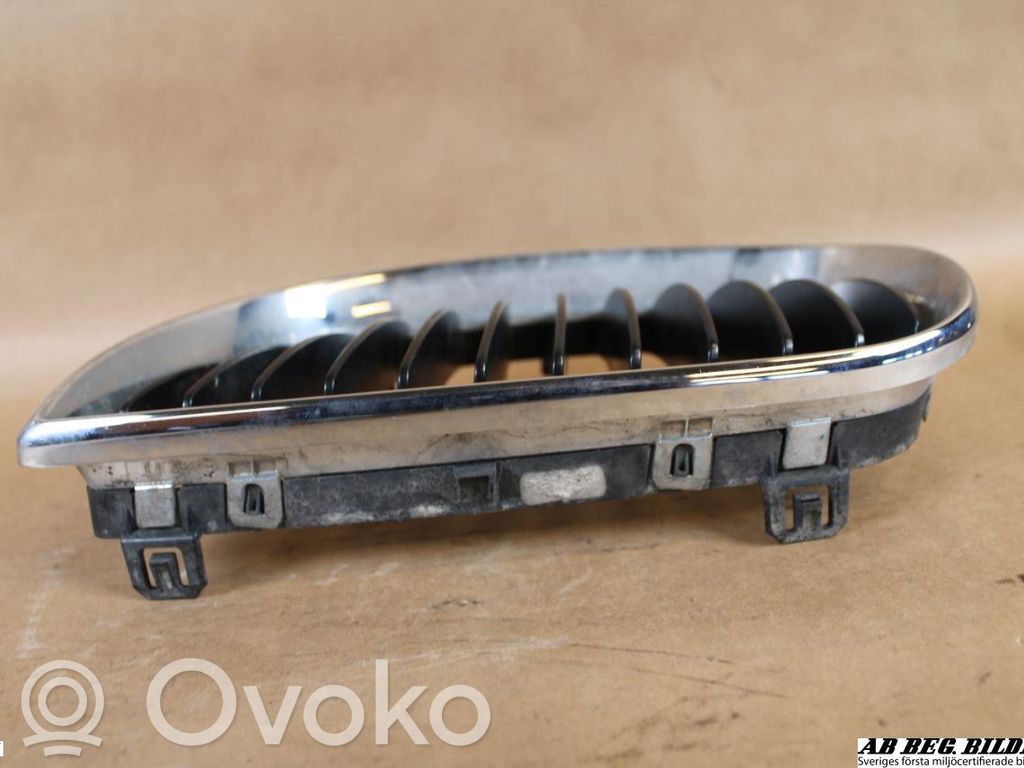 BMW 1 E81 E87 Oberes Gitter vorne