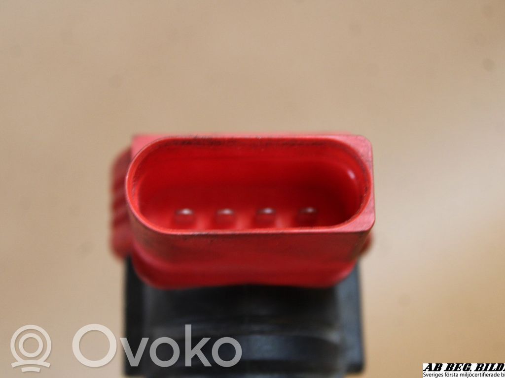 Audi A6 S6 C6 4F Aukštos įtampos ritė "babyna"