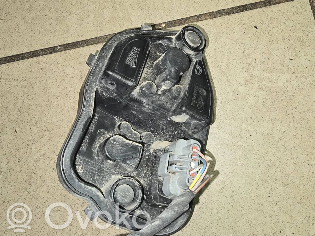 Renault Megane III Galinio žibinto dangtelis (lizdas) 