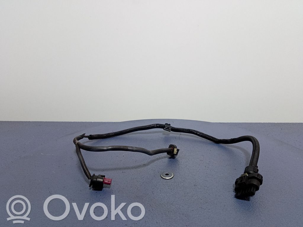 Other wiring loom
