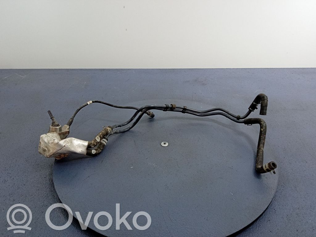 Audi Q7 4M Sprausla (-i) 
