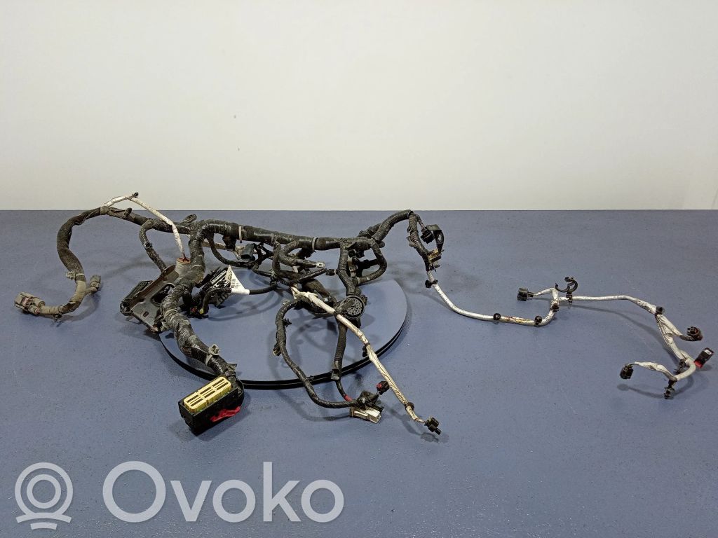 Chrysler Pacifica Other wiring loom 