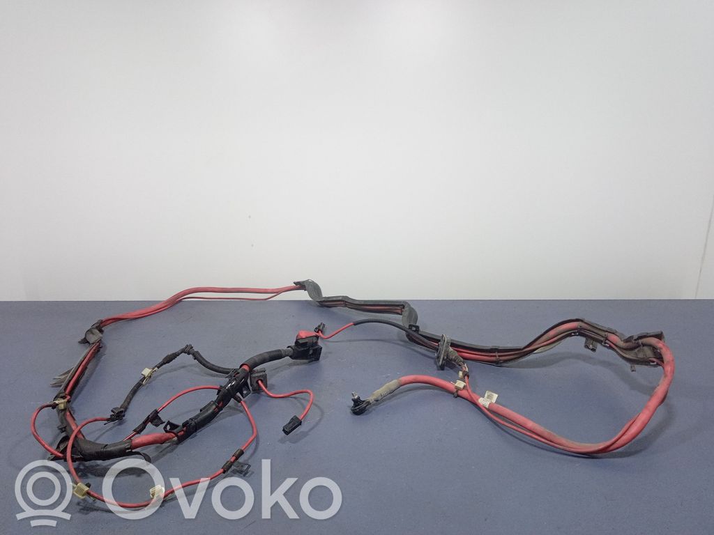BMW X6 E71 Other wiring loom 