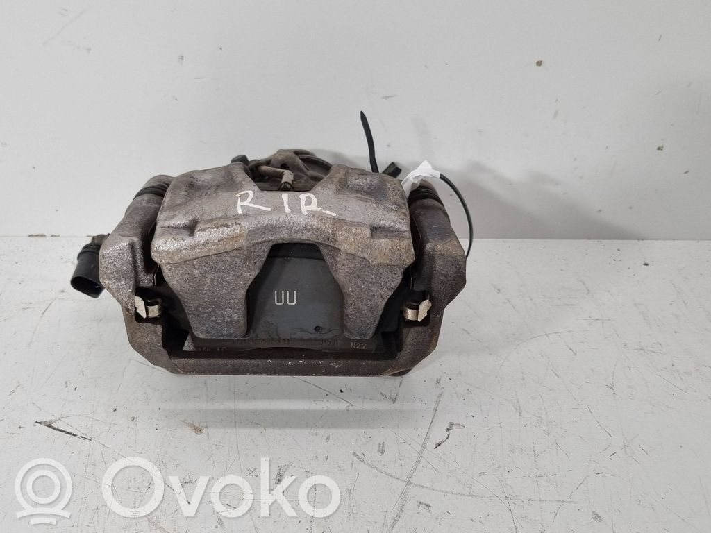 Takajarrusatula   4K0406BQ