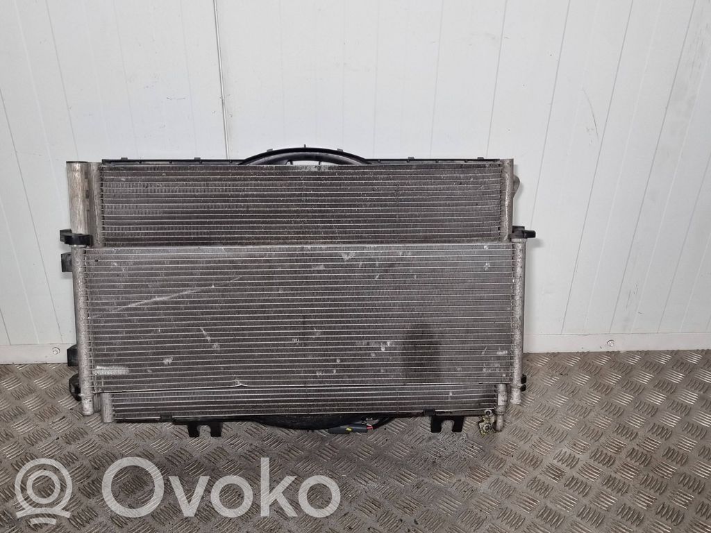 Tesla Model X Radiatorių komplektas 