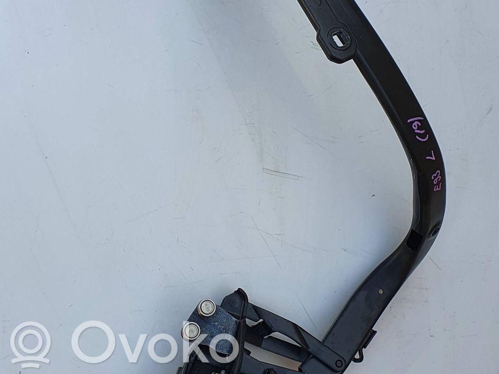 BMW 3 E92 E93 Loading door lower hinge 