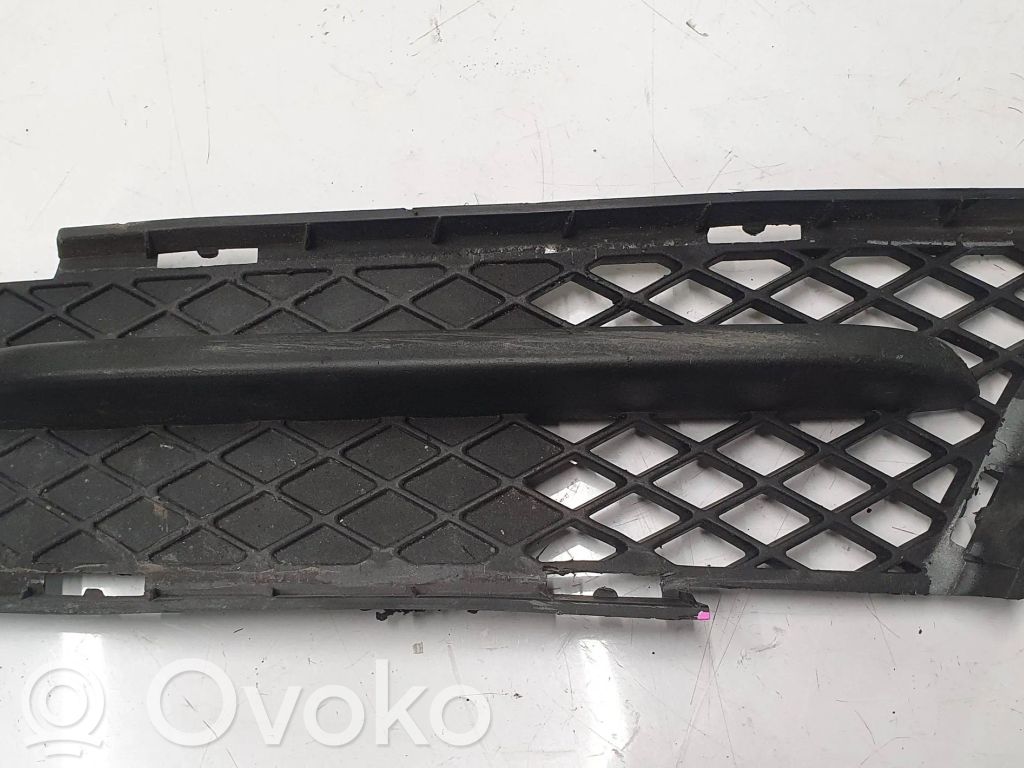 Front bumper lower grill   7154551
