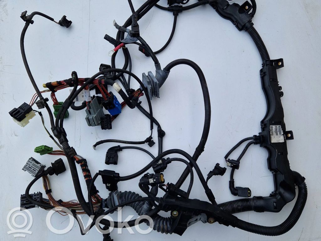Engine installation wiring loom   780824806,781250703