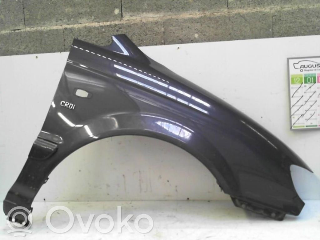 Hyundai Trajet Guardabarro 